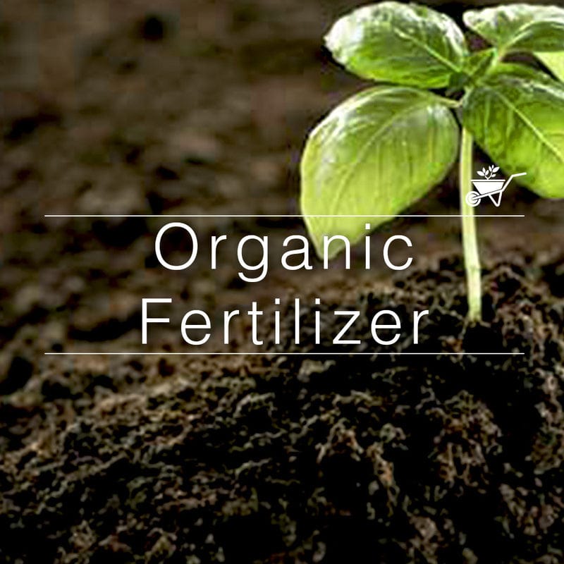 Bio organic fertilizer