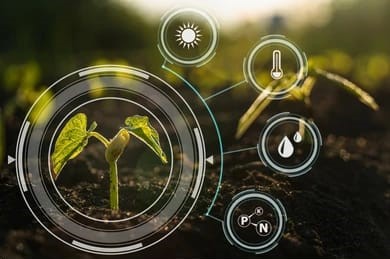 Bio organic fertilizer