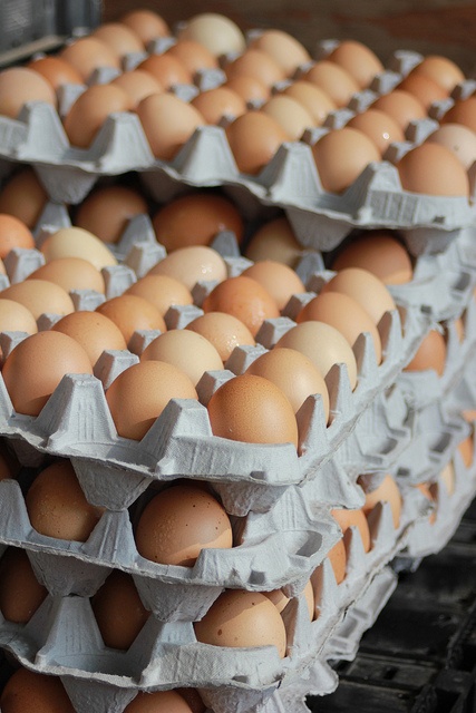 Desi-egg